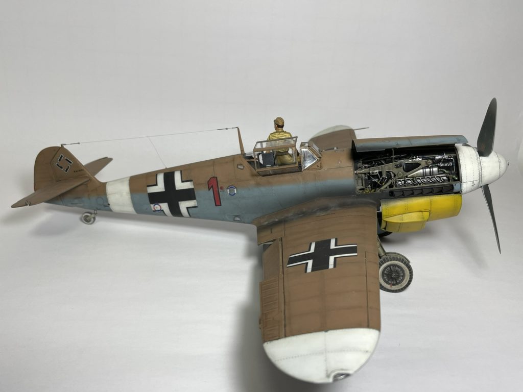 Nils Hayn / Me Bf 109 G-2 auf F-4 / 1:24 /